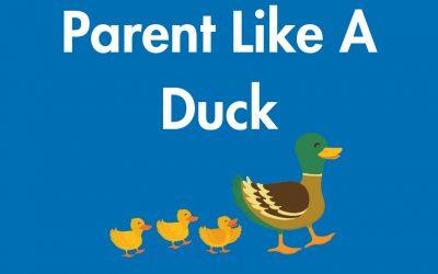 Parent  like a duck